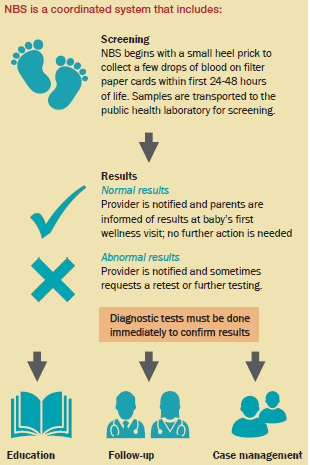 https://www.newsteps.org/sites/default/files/resources/nbs_one_pager_image_february2019_se.png