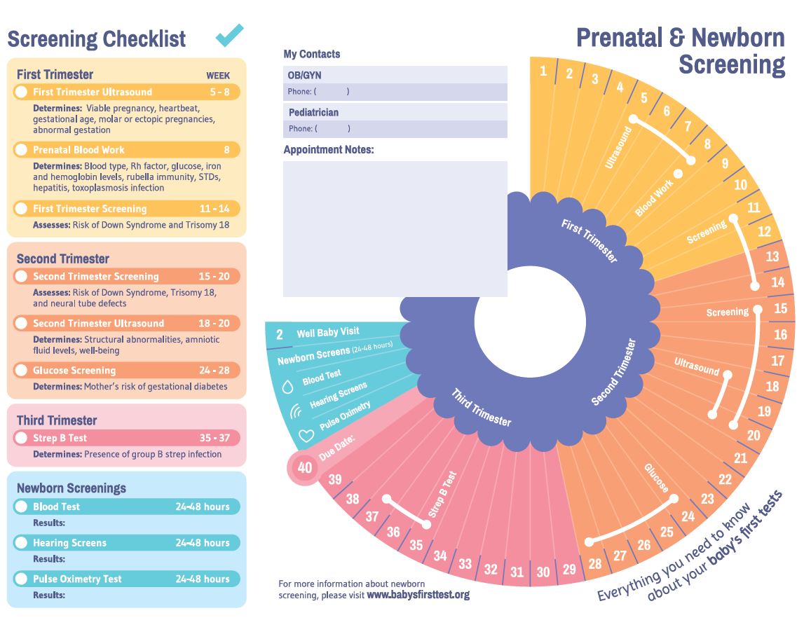 prenatal visit chart